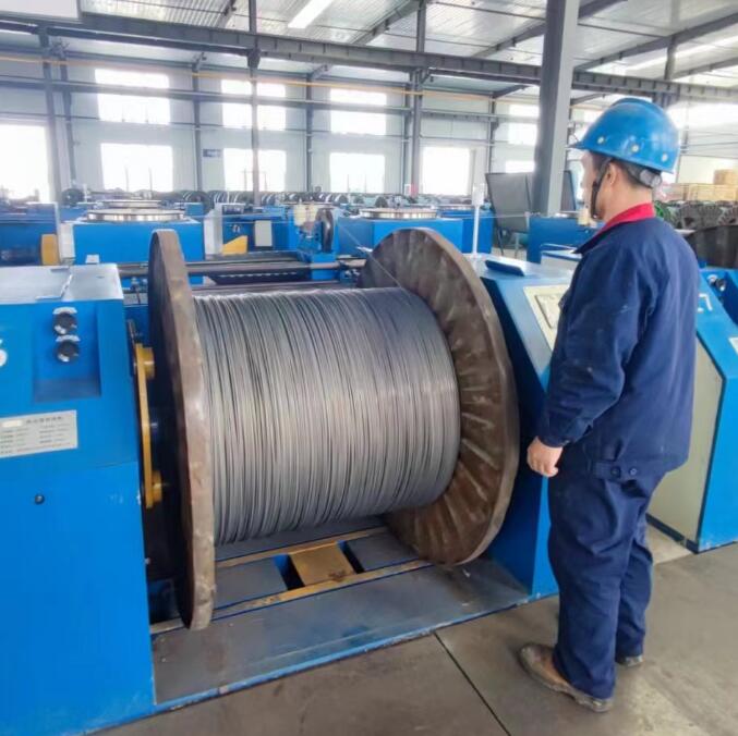 ������ר��˿