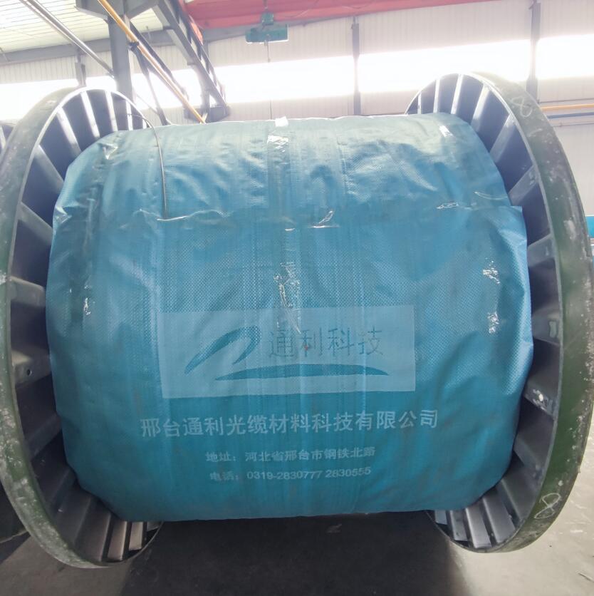 ������ר��˿